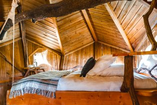 Cabane dans les arbres Haute-Saône