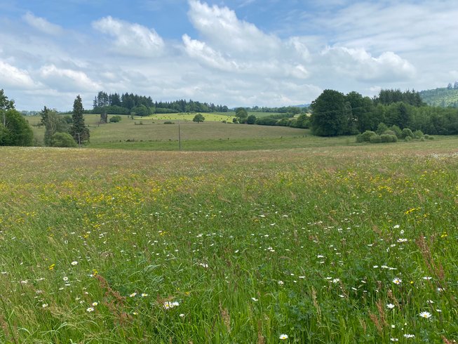 Domaine AbracadaRoom : Les terres de la chouette - Image 17