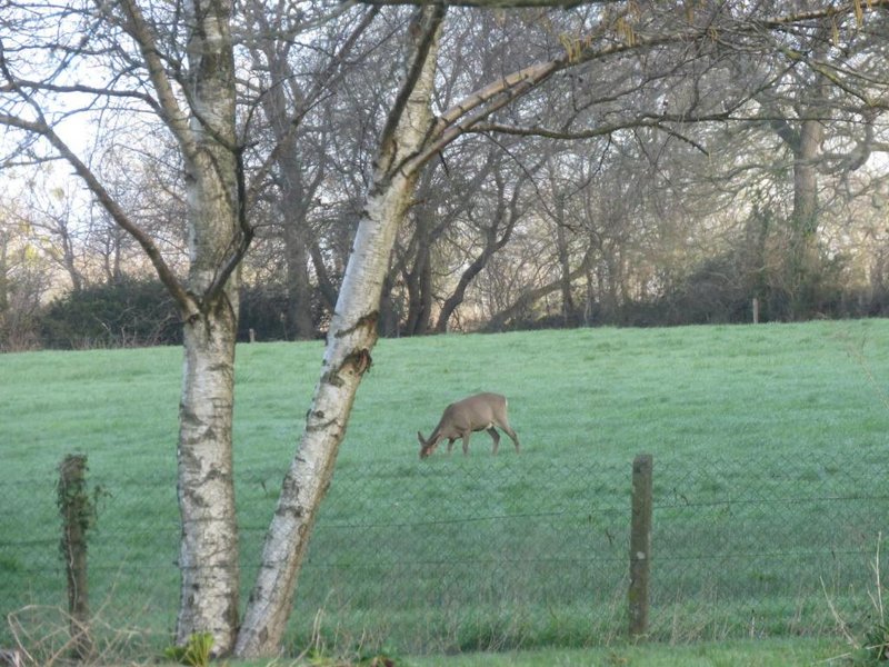 Hébergement AbracadaRoom : Le pigeonnier du chevalier - Image 7