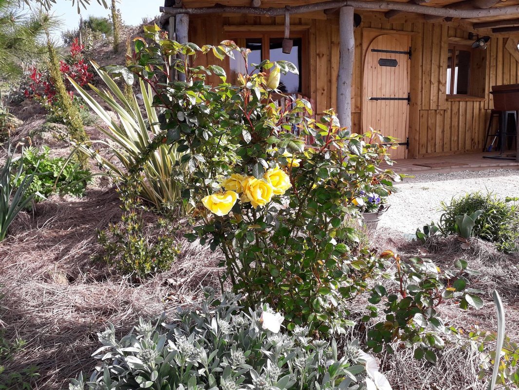 Maison  du Hobbit avec spa privatif à Villarzel Du Razès (23)