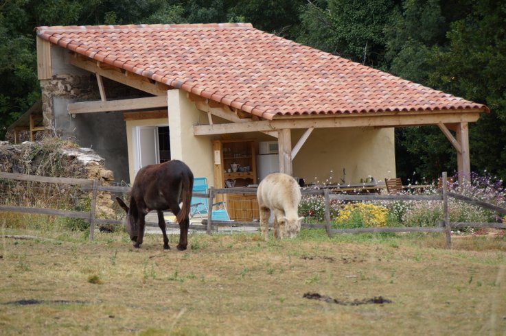 Domaine AbracadaRoom : Domaine du Vigneau - Image 8