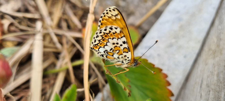 Domaine AbracadaRoom : Détente en Luberon - Image 4