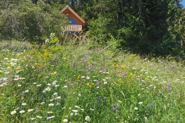 Cabane "Les terres blanches" à Le Lauzet Ubaye (1)