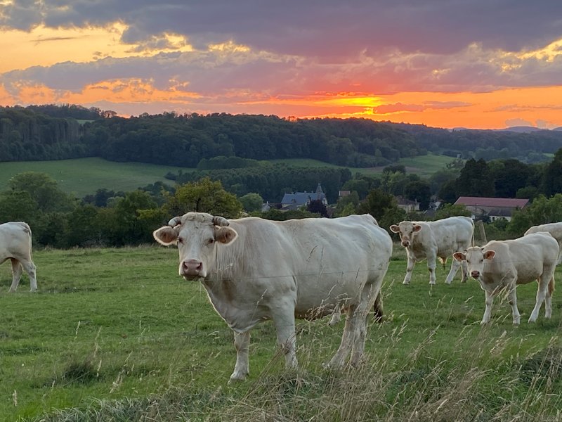 Hébergement AbracadaRoom : Cottage Spa Orion - Image 19