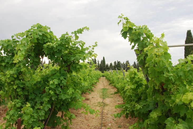 Domaine AbracadaRoom : Nid'Oiselet - Image 26