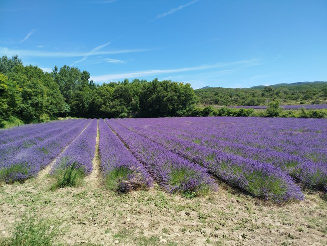 Domaine AbracadaRoom : RIALYS - Image 1