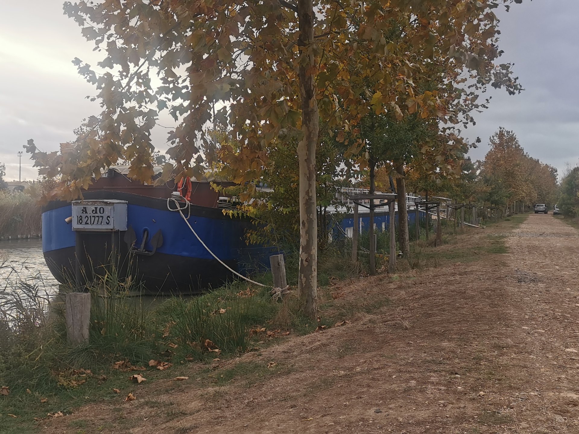 Péniche Ajoa sur le Canal du Midi