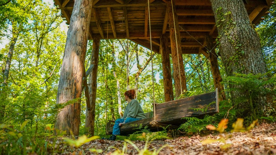 Domaine AbracadaRoom : Nid'en'Ô Les Cabanes dans les Arbres - Image 25