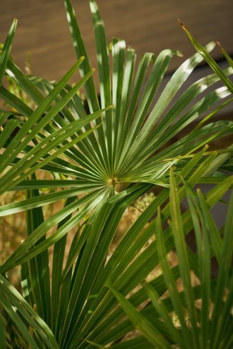 Domaine AbracadaRoom : Casa Nomad - Image 36