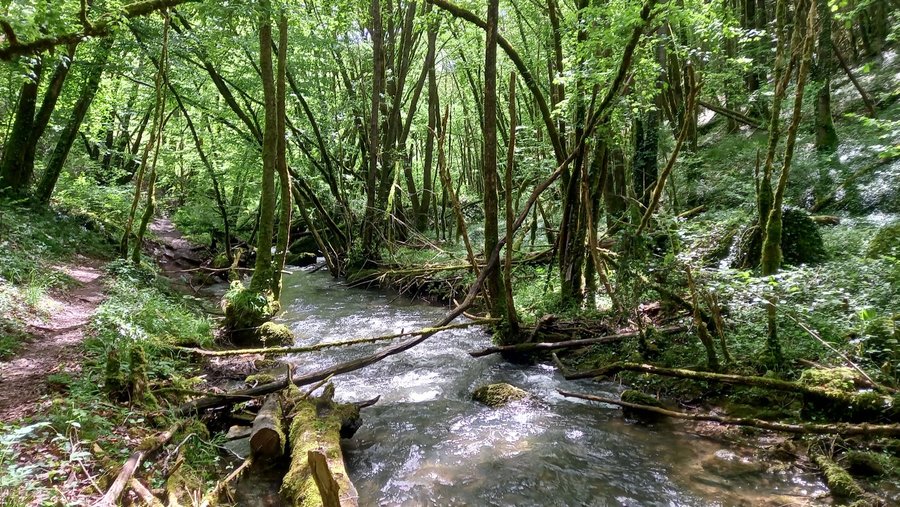 Domaine AbracadaRoom : Begayne - Image 9