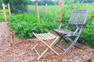 Domaine AbracadaRoom : Domaine Les Filloux - Image 9