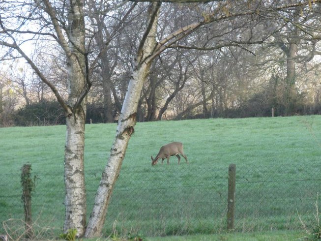 Hébergement AbracadaRoom : Le pigeonnier du chevalier - Image 7