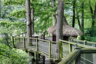 Cabane dans les arbres Ille-et-Vilaine