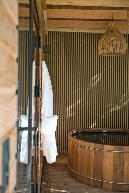 Lodge haut de gamme & bain nordique privatif au bord du Canal de Briare à 1h15 de Paris à Montcresson (3)