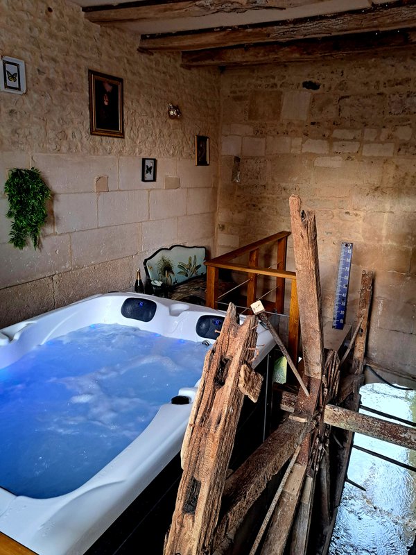 Le Logis du Meunier à Champagnac (17)