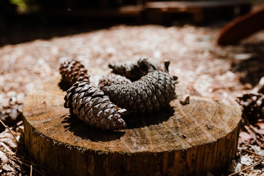 Domaine AbracadaRoom : Tiny Stay Ecolodge - Image 13