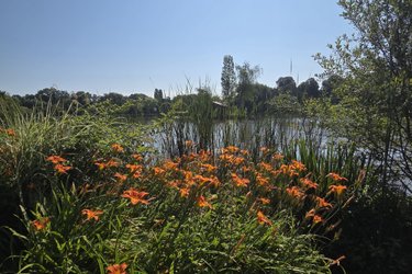 Au Lit D'Ô - Pêche et bain nordique à Bressuire (4)