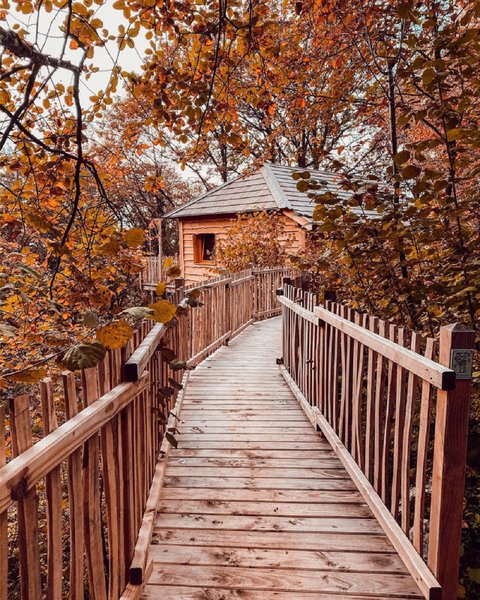 Hébergement AbracadaRoom : Cabane Spa Ecureuil - Image 5