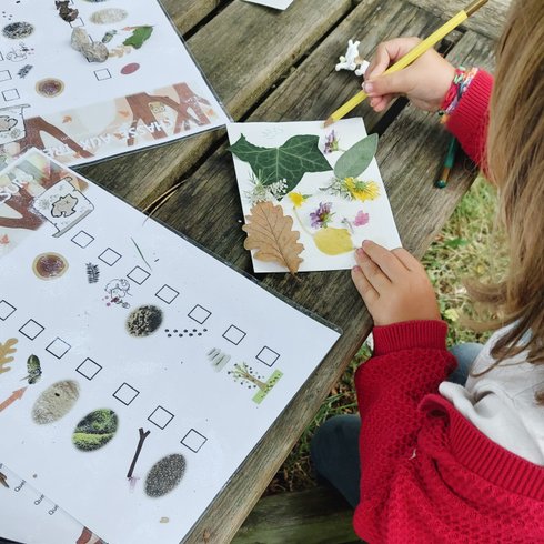 Domaine AbracadaRoom : Graines de nature - Image 16