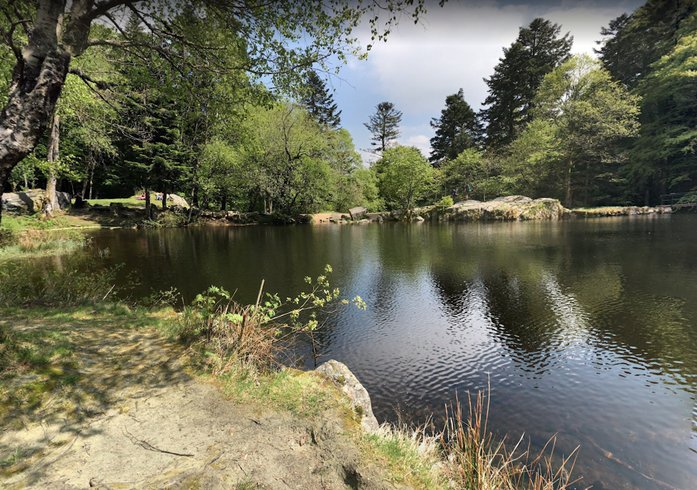 Domaine AbracadaRoom : NatureZenKota - Image 2