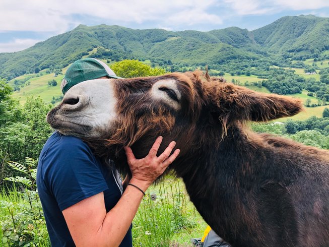 Domaine AbracadaRoom : Les Milans - Image 16