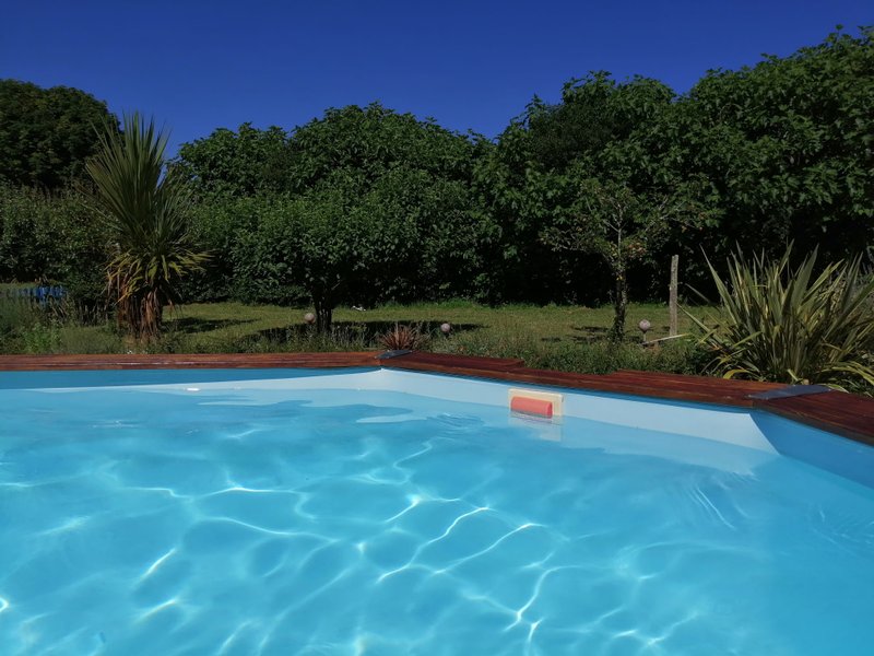 Hébergement AbracadaRoom : Kota - A l'abri des cyprès - Image 10