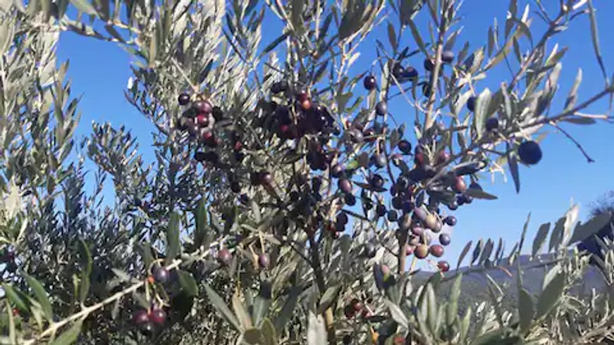 Domaine AbracadaRoom : La ferme Blandine agriculture biologique - Image 23