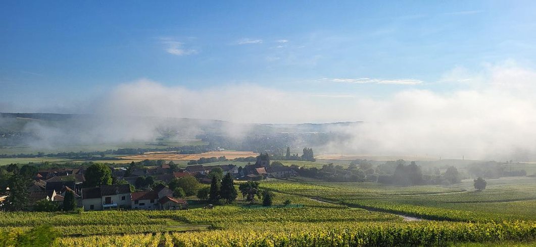 Domaine AbracadaRoom : Les Bulles du  Coq de Champagne - Image 3
