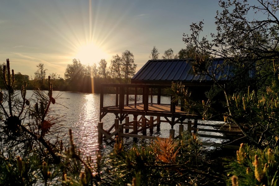 Cabane sur l'eau Aigrette — photo 2
