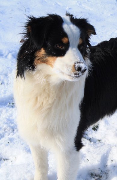 Domaine AbracadaRoom : Par les monts étoilés - Image 13