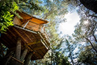 Domaine St-Jean de l'Arbousier