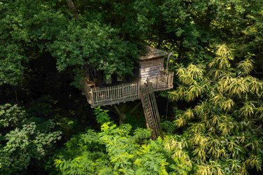 Cabanes Duo dans les Arbres à Raray (2)