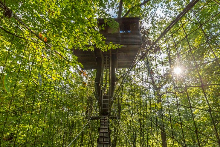 Hébergement AbracadaRoom : Cabane Canopée - Image 1