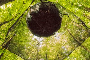 Domaine du Treuscoat