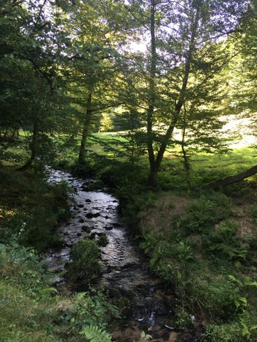 Domaine AbracadaRoom : Les Cabanes de Salagnac - Image 9