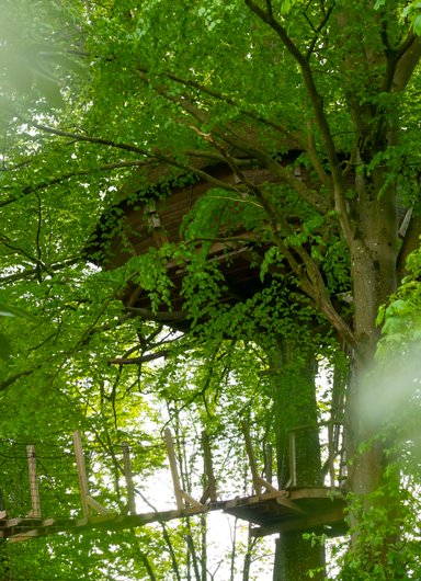 La cabane Haut-Perchée & Spa à Wail