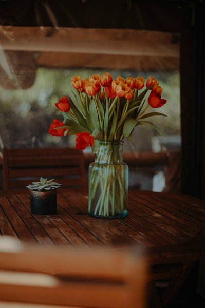 Hébergement AbracadaRoom : Cabane Bohème Ayana & Spa privatif - Image 55