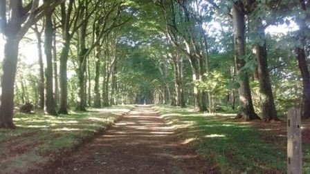 Domaine AbracadaRoom : Les Cabanes de Kermenguy - Image 2