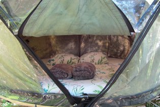 Tente suspendue Vienne