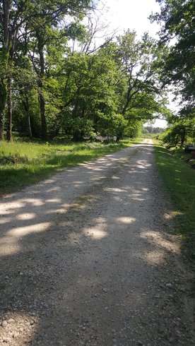 Domaine AbracadaRoom : Domaine de Meysouet - Image 6