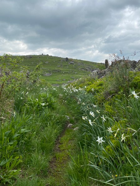 Hébergement AbracadaRoom : Buron Cœur d’Aubrac - Image 19