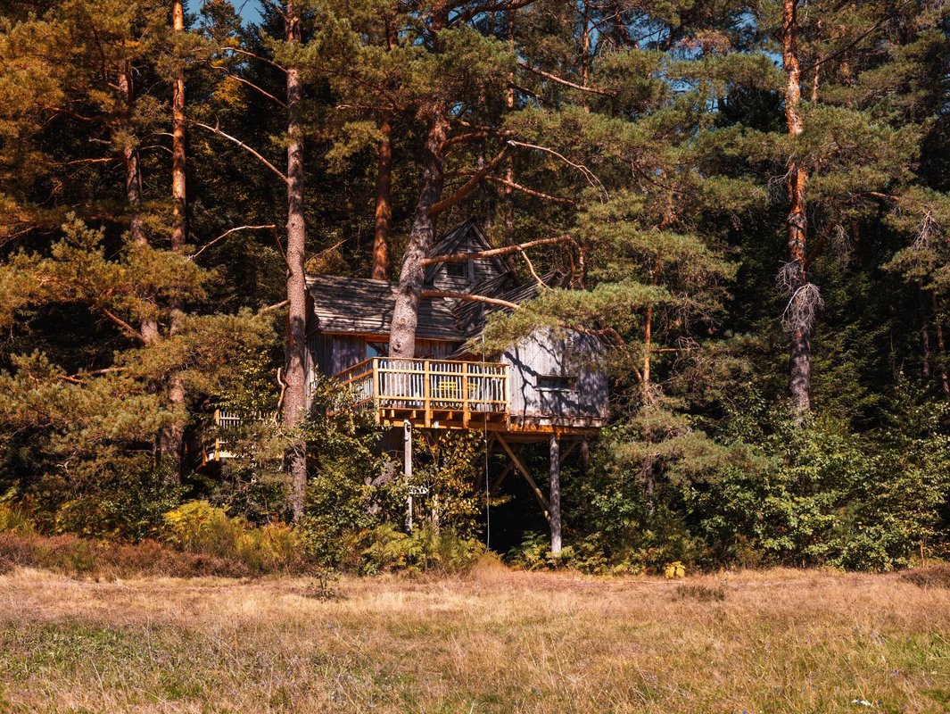 Cabane perchée Cosy Famille à Champdray (1)