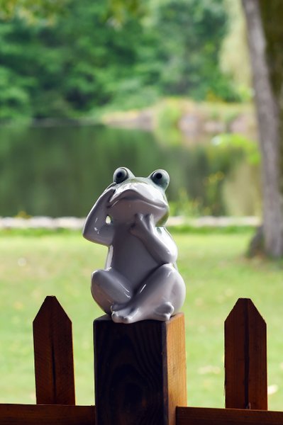 Domaine AbracadaRoom : Airial des Monges - Image 6