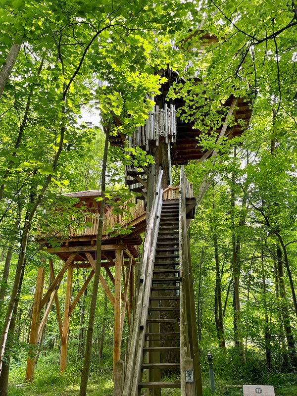 Cabane Spa Carpe Diem à Raray (1)