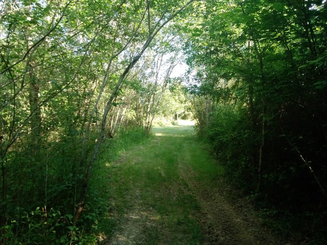 Hébergement AbracadaRoom : L'Arche de Robinson - Image 31