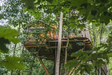 Cabane Spa Canopée à Raray (1)