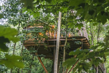 Cabane Canopée à Raray (2)