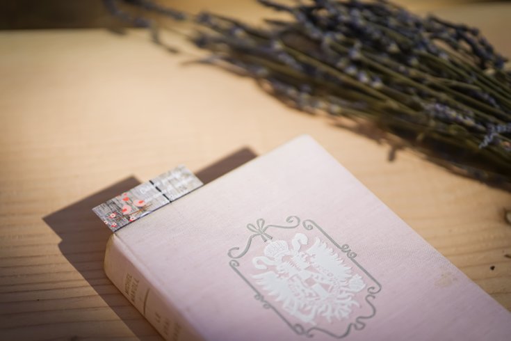 Hébergement AbracadaRoom : Ma cabane des rails & SPA - Image 35