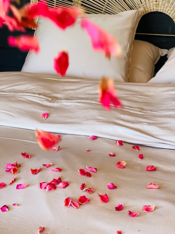 La Cabane Feu de Forêt & spa privatif à Cardeilhac (9)