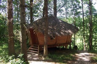 Cabane dans les arbres Somme